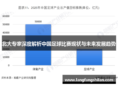 北大专家深度解析中国足球比赛现状与未来发展趋势