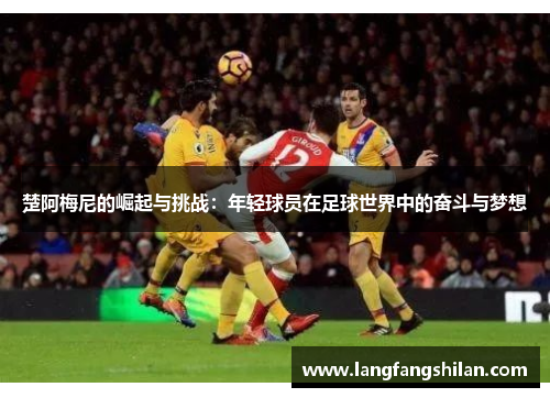 楚阿梅尼的崛起与挑战：年轻球员在足球世界中的奋斗与梦想
